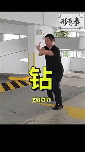 Xingyiquan five element linking form 形意五行连环拳 #xingyiquan #martialarts #wushufight