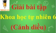 Khoa học tự nhiên lớp 6 Cánh diều | Giải bài tập KHTN lớp 6 (hay, ngắn gọn).
