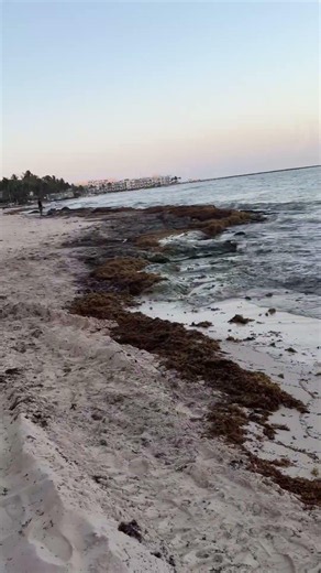 PLAYA DEL CARMEN view sun set sunsetting view from beach