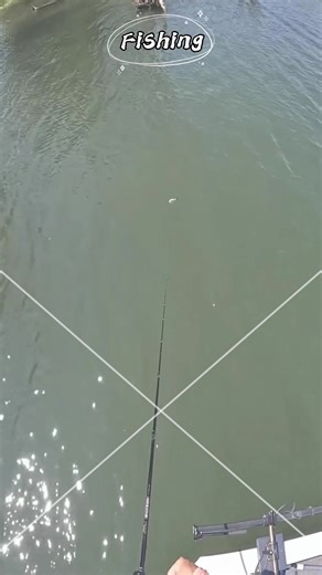 Exciting Bass Fishing Adventure by the Floating TV