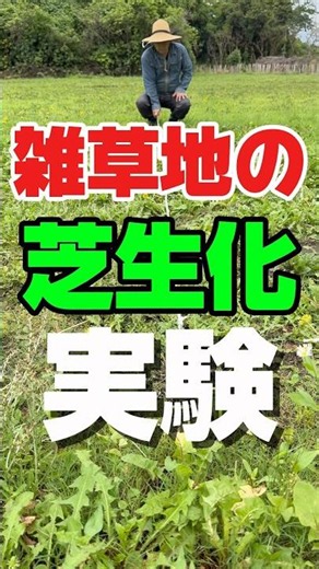 雑草地を簡単に芝生化する実験はじまる