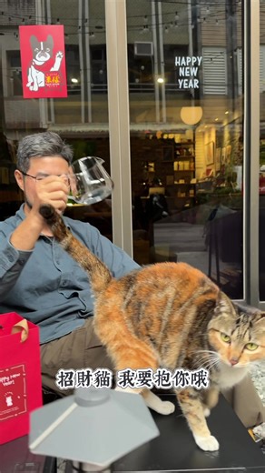 有貓不請自來 #招財貓