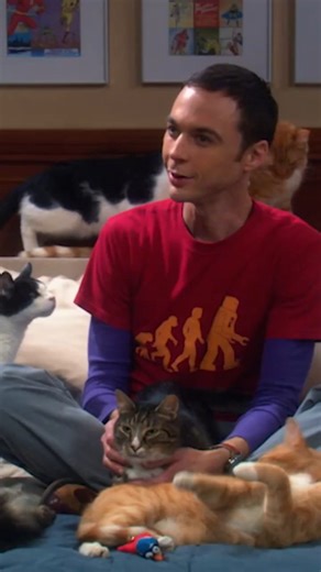 Reelverse | ⭐ Follow @reelcinema17 🎬 The Big Bang Theory 🧠💥😂 (2007–2019 Series) 📺 Sitcom • Nerd Culture • Friendship • Science Meets Heart 🎞️ “Smart... | Instagram