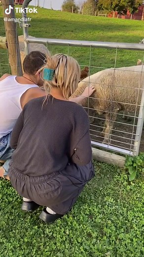 amandla stenberg (@amandlafr)’s videos with original sound