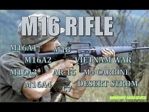 The M16 Rifle: America’s Most Controversial Weapon.