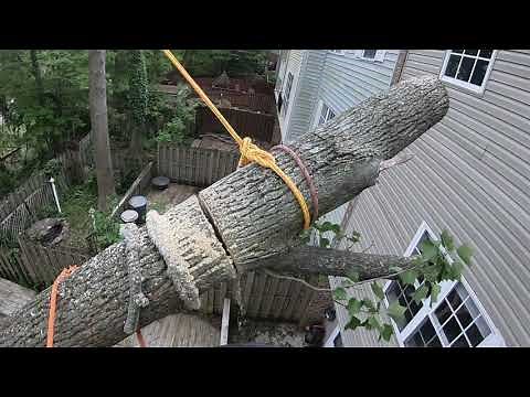 Tree Fell on a House. How to Remove tree without a crane.