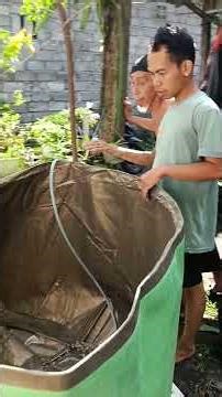 Start Catfish Farming at Home (Step-by-Step)