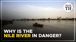 1.6K views · 50 reactions | This is the Nile river. The survival of...
