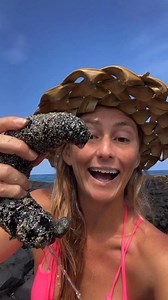 Tide Pool Creates are WILD! | Alison's Adventures