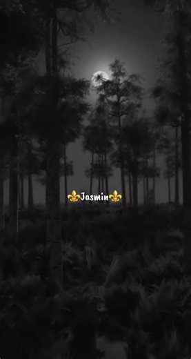 Emotional Journey Through Jasmin's Music