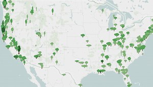 Tracking Champion Trees with Dynamic Custom Shapes and Web Scraping