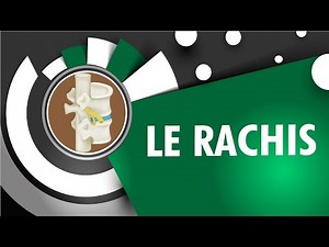 Anatomie: Le rachis