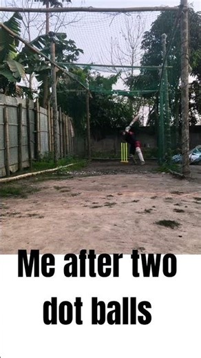 dangorous batting mod #cricket #bowlingpractice #fun #cricketlover