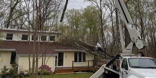 Tree hits home in the same spot it did in December 2021 tornadoes
