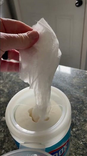 Costco Find- Clorox Disinfecting Cleaning Wipes