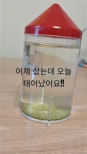 씨몽키 키우기 1일차