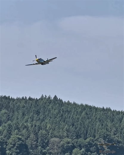 P-51D Mustang Highspeed Lowpass | Warbirds