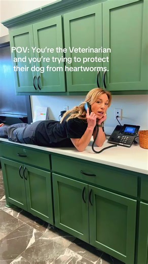 Comprehensive Heartworm Prevention with Proheart 12