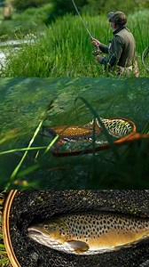 Mayfly On The Test Auction Bid to be 1 of 6 lucky people on the legendary @orvisuk Kimbridge Beat in May. This lovely video from our 2023 event gives you excellent flavour of what to expect from the day. Find out more and place your bids using the link in our details. | Angling Trust