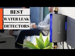 TOP 5: Best Water Leak Detectors 2026