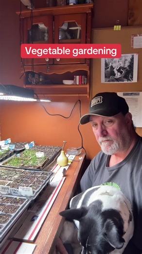 Master Vegetable Gardening: Tips for Success