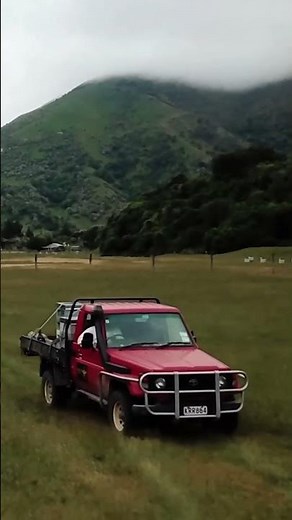 Gathering Manuka Honey