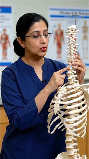 Cervical Muscles 💪 | Origin & Insertion Explained 🔍🔥