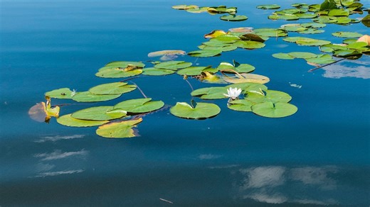 Wie gefährlich ist der Badesee wirklich? Was Badegäste jetzt wissen müssen