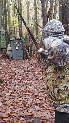 13.7m Shot in a 15cm Target Face - Keep Practicing #archery #sport #outdoors #hobby #practice #bow