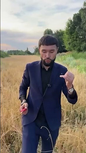 19 октября 2025 г.