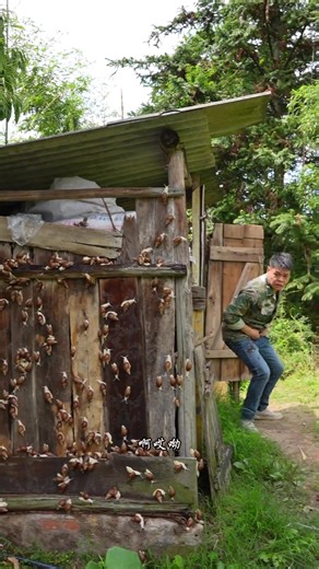 Snails can be prepared this way?! #Amazing #Way #ToEat WhiteJadeSnails #Countryside #gourmet food