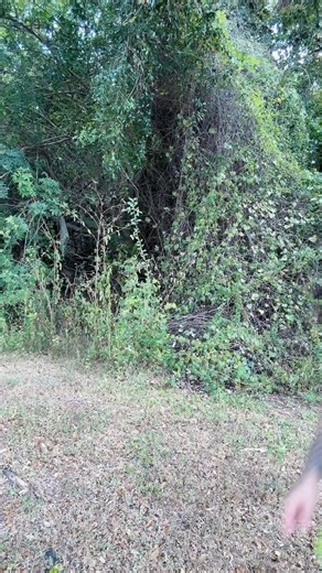 It’s Maui time 💪🏽👑🎃 #fyp #wlw #moana #gemini #maui #cosplay #genderbend #trending #confidence #lesbian | Maribel Martinez