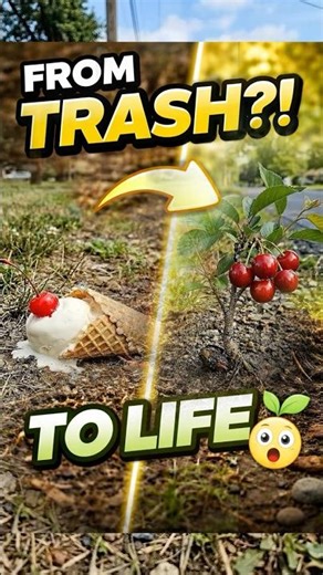 What If Dropped Ice Cream Could Grow a Tree? Watch This Incredible Time-Lapse