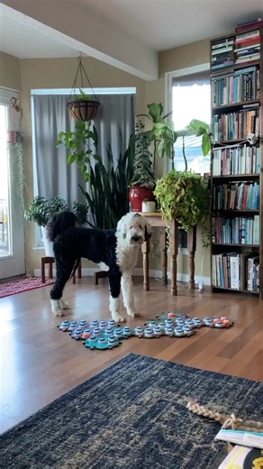 Yes, Bunny good 😊 I remember being so excited experiencing these profound moments in the beginning!