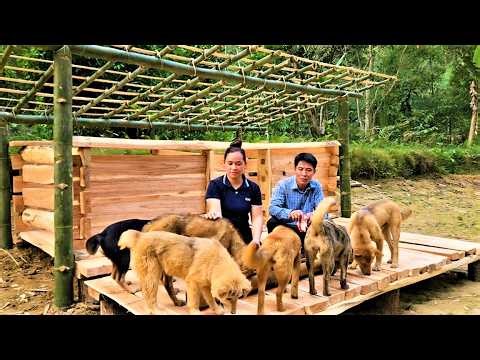 Unbelievable! My Best Wooden Dog House Ever Alone - So Satisfying! 🔨🔥✨