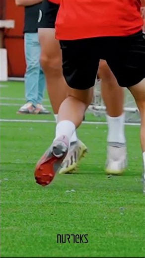 Best Artificial Turf Without Rubber Infill | Revolution DBF Explained #artificialturf