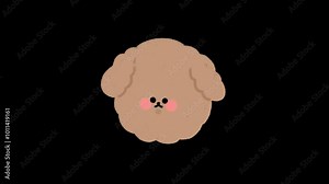 Animation forms a sheep's head icon.4k video quality on a transparent background. baby sheep icon animation