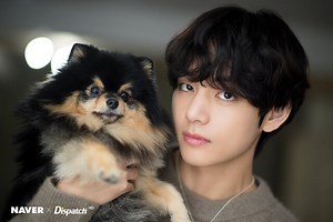 BTSテテの愛犬ヨンタンってどんな犬？可愛すぎる画像・動画も紹介