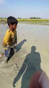 Keya Fishing Live Stream at Pushnet Fishing 2025