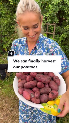 Designable Home & Garden on TikTok