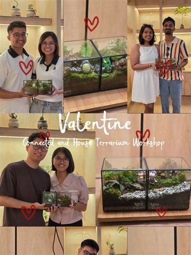 A day filled with love at our Valentine’s Connected & House Terrarium Workshop 🌿💕 Whether it’s building a connected terrarium — where each person creates their own unique landscape that beautifully connects as one — or crafting a house terrarium together as a couple, it’s all about spending meaningful time side by side. It’s a moment to slow down, create together, and build memories that will last — just like the terrarium you bring home. For more couple terrarium workshop sessions, feel free 