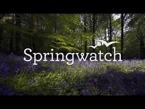 Springwatch Theme