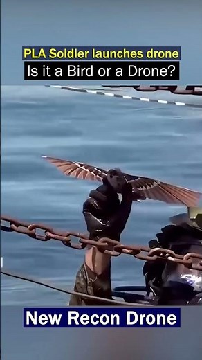 Chinese Marines' Bird Like Drone Revealed!