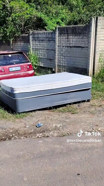 Effective Bed Bug Cleaning Tips with Izimbungulu