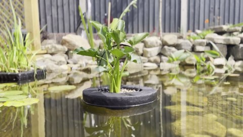 PondH2o Floating Aquatic Water Garden Pond Planter Basket, 10 Inch (26cm) Round Fabric Floatable Flower Plant Pot Aquaponics, Hydroponics, Flower Islands for Ponds and Water Features