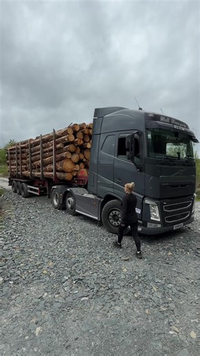 #volvo #timber #🙈