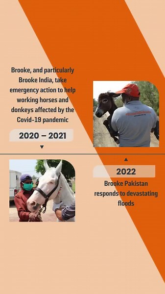 This year, Brooke is marking 90 years of bringing hope to the incredibly tough lives of working horses and donkeys. This timeline shows just some of the significant moments and incredible achievements we've made. Learn more about Brooke's history at https://bit.ly/3uP6qKL | Brooke, Action For Working Horses and Donkeys