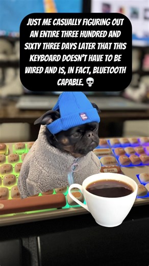 Keyboard Cord Caught: A Yearly Struggle Encountered