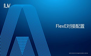 FlexE对接配置