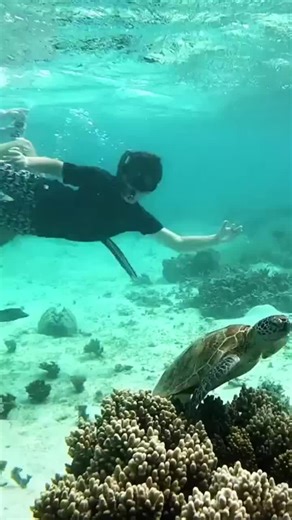 Explore the South Pacific Adventure Experience